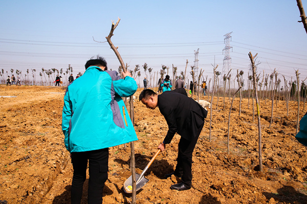 “攜手植樹，共創(chuàng)藍(lán)天”丨南京新華師生共筑新華育才林
