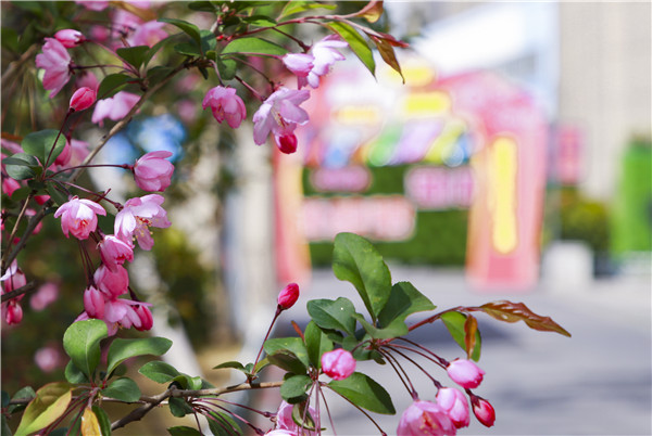 春暖花開，等你歸來——邀你云賞南新春景，以慰思念
