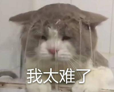 勁爆！新華電腦教育服務(wù)旗艦店正式入駐天貓，課程1折秒殺！
