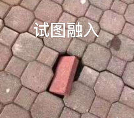 新華互聯(lián)網(wǎng)科技正式入駐Bilibili！會(huì)摩擦出什么樣火花呢？